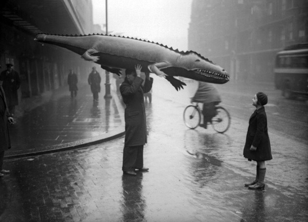 Мальчик с котиками