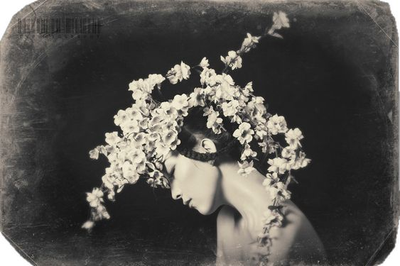 Five days without Tanya